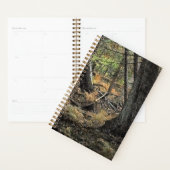 Herfst bos scène planner (Display)