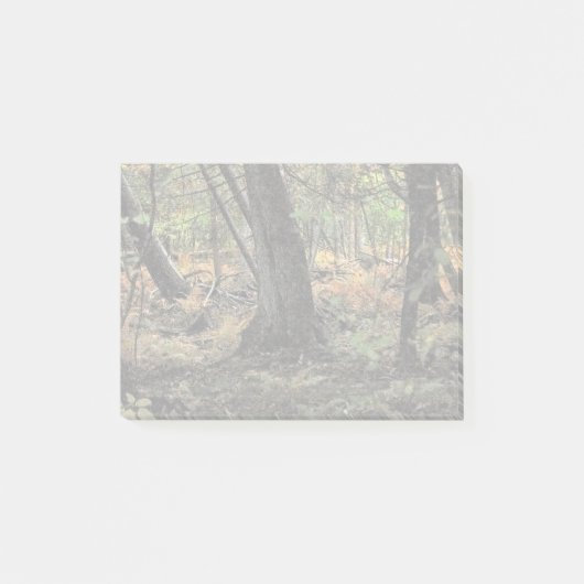 Herfst bos scène post-it® notes (Voorkant)