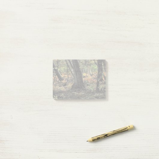 Herfst bos scène post-it® notes (Op bureau)