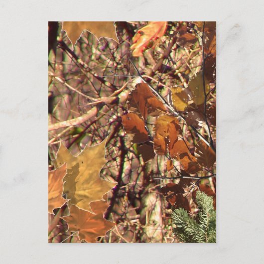 Herfst Bos Struik Camouflage Briefkaart (Voorkant)