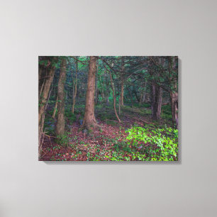 Herfst bos uitzicht canvas print