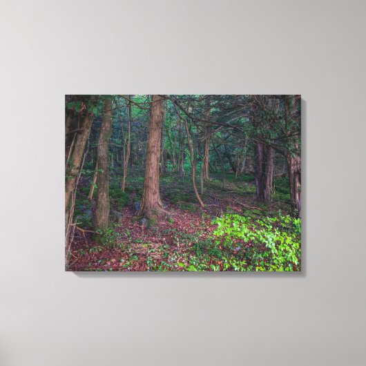 Herfst bos uitzicht canvas print (Voorkant)