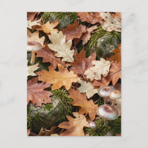 Herfst Bosbodem Paddenstoelen Mos Afgevallen Blade Briefkaart