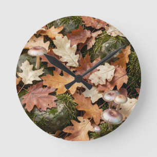 Herfst Bosbodem Paddenstoelen Mos Afgevallen Blade Ronde Klok
