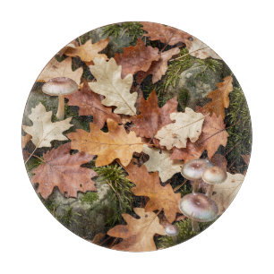 Herfst bosbodem paddenstoelen mos gevallen bladere snijplank