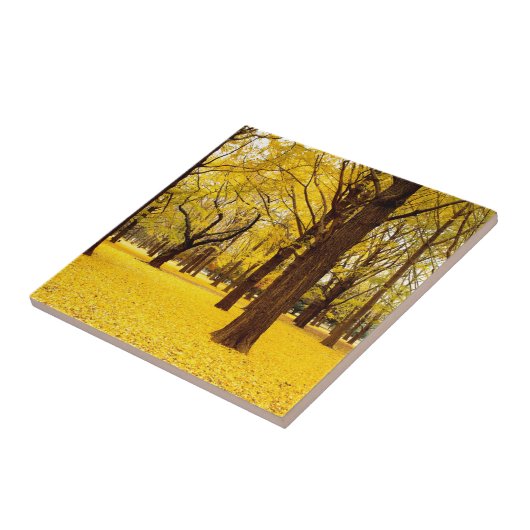 Herfst bosgebied tegeltje (Zijkant)