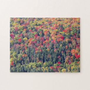 Herfst boslandschap legpuzzel