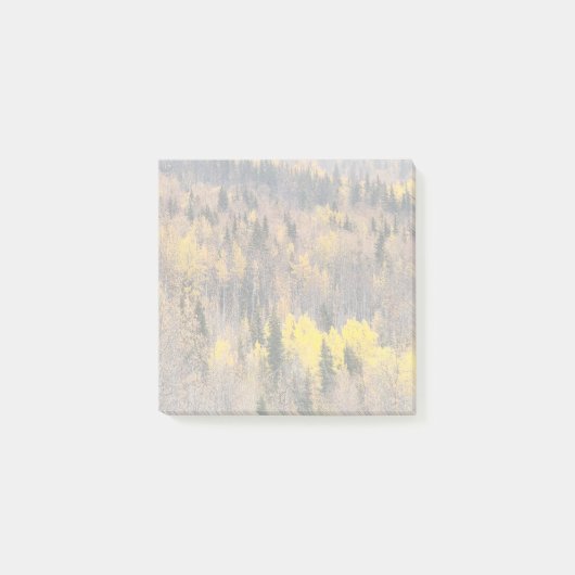 Herfst boslandschap met gouden bomen post-it® notes (Voorkant)