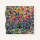 Herfst boslandschap notitieboek (Voorkant)
