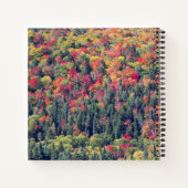 Herfst boslandschap notitieboek (Achterkant)