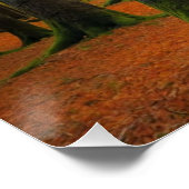 Herfst boslandschap perfect poster (Hoek)
