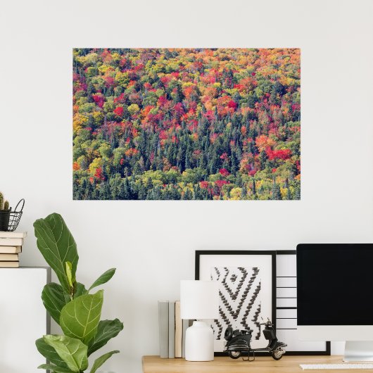 Herfst boslandschap poster (Thuiskantoor)
