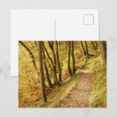 Herfst bospad briefkaart (Voorkant / Achterkant)