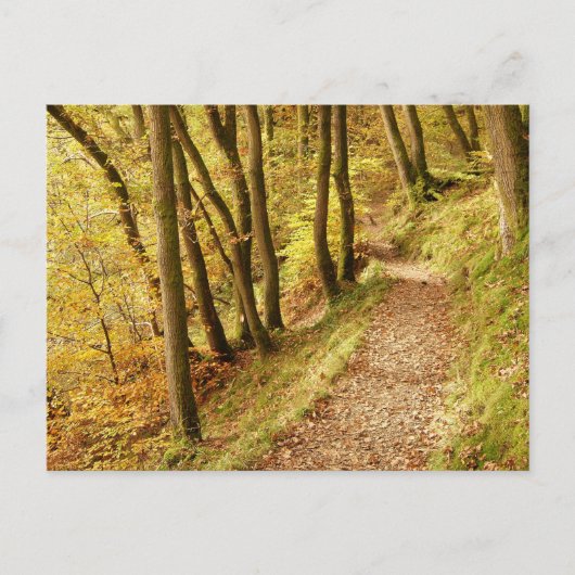 Herfst bospad briefkaart (Voorkant)