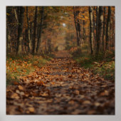 Herfst bospad poster (Voorkant)