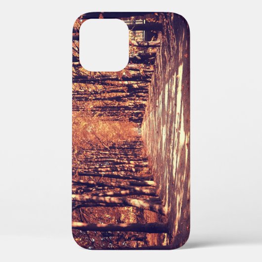 Herfst Bospad: rustige landschapsreis Case-Mate iPhone Case (Achterkant)