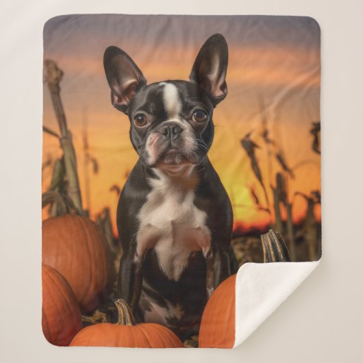 Herfst Boston Terrier Sherpa Deken (Voorkant)