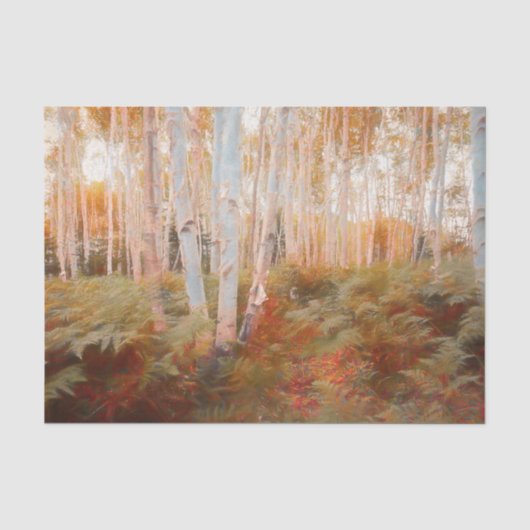 Herfst bosvaren bos berkenbomen kunst tissuepapier (Voorkant)