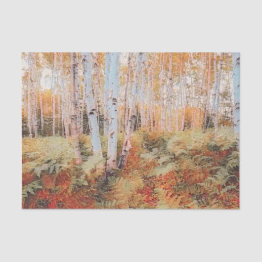 Herfst bosvaren bos berkenbomen tissuepapier (Voorkant)