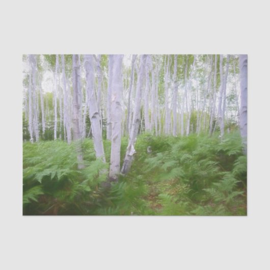 Herfst bosvaren groen bos berkenbomen kunst tissuepapier (Voorkant)