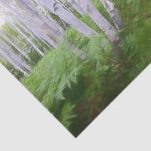 Herfst bosvaren groen bos berkenbomen kunst tissuepapier (Detail)
