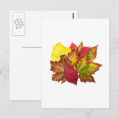 Herfst bouquet briefkaart (Voorkant / Achterkant)