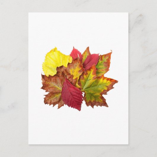 Herfst bouquet briefkaart (Voorkant)
