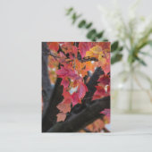 herfst briefkaart (Staand voorkant)