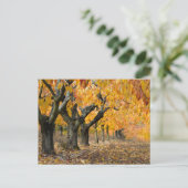 herfst briefkaart (Staand voorkant)