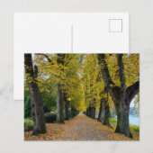 Herfst Briefkaart (Voorkant / Achterkant)