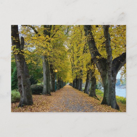 Herfst Briefkaart (Voorkant)