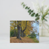 Herfst Briefkaart (Staand voorkant)