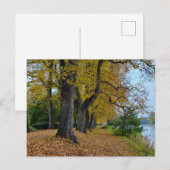 Herfst Briefkaart (Voorkant / Achterkant)