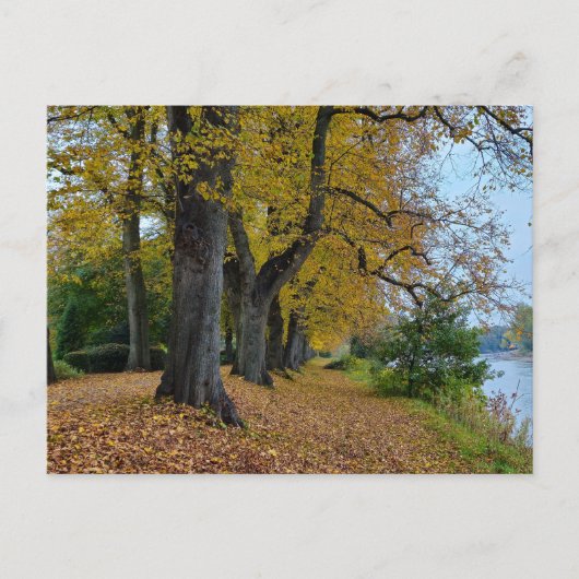 Herfst Briefkaart (Voorkant)