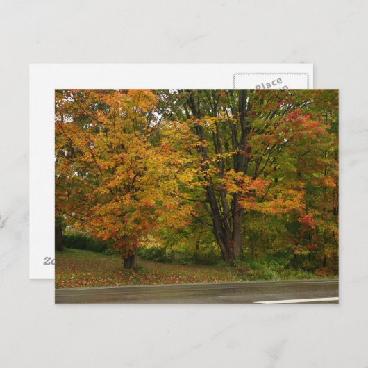 herfst briefkaart (Voorkant / Achterkant)