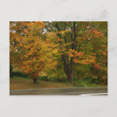 herfst briefkaart (Voorkant)