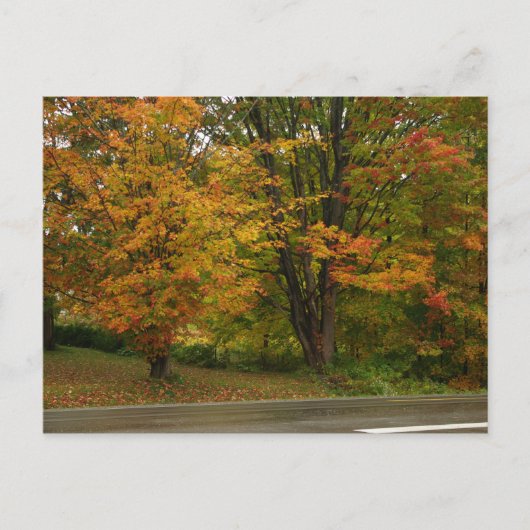 herfst briefkaart (Voorkant)