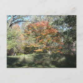 herfst briefkaart
