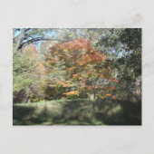 herfst briefkaart (Voorkant)