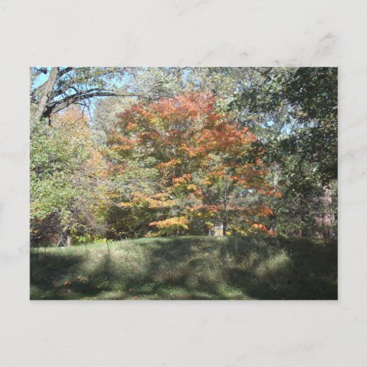 herfst briefkaart (Voorkant)