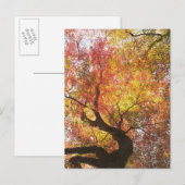 herfst briefkaart (Voorkant / Achterkant)