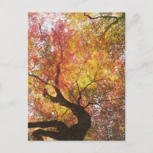 herfst briefkaart