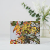 Herfst Briefkaart (Staand voorkant)