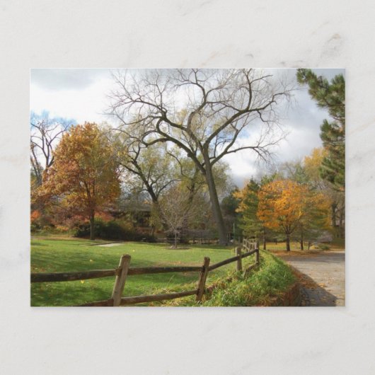 Herfst Briefkaart (Voorkant)