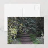 Herfst briefkaart (Voorkant / Achterkant)