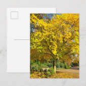 herfst briefkaart (Voorkant / Achterkant)