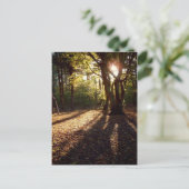 herfst | briefkaart (Staand voorkant)