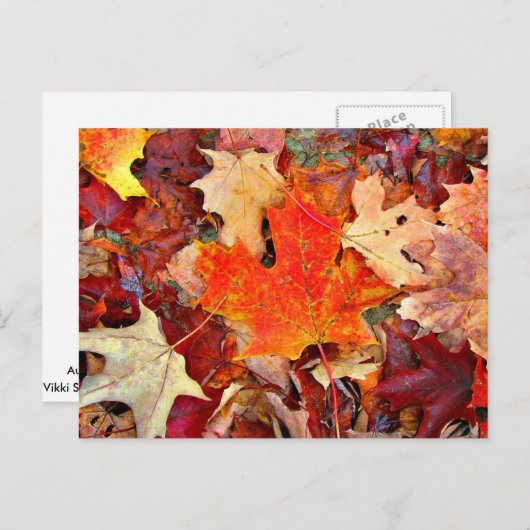 herfst briefkaart (Voorkant / Achterkant)