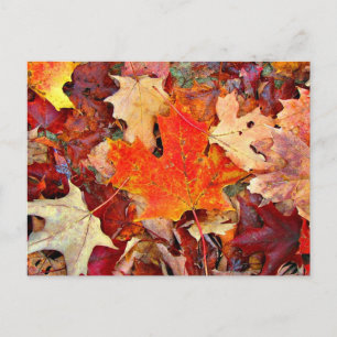 herfst briefkaart