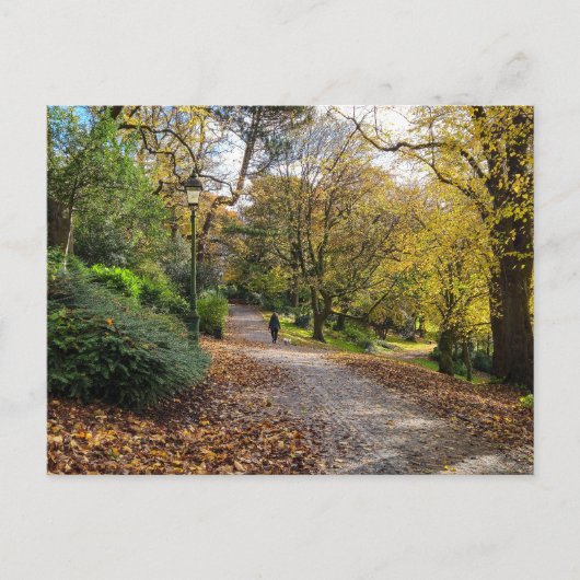 herfst briefkaart (Voorkant)
